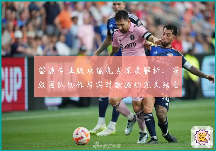 雷速专业版功能亮点深度解析：高效团队协作与实时数据的完美结合