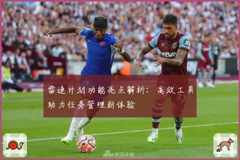 雷速计划功能亮点解析：高效工具助力任务管理新体验