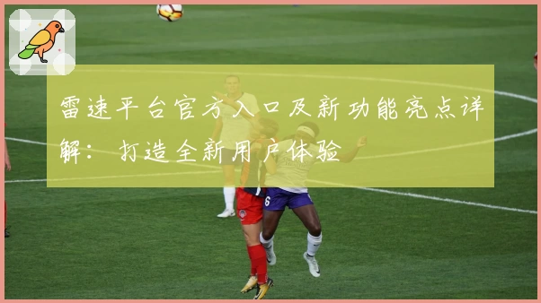 雷速平台官方入口及新功能亮点详解：打造全新用户体验
