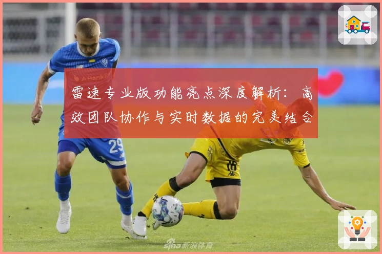 雷速专业版功能亮点深度解析：高效团队协作与实时数据的完美结合